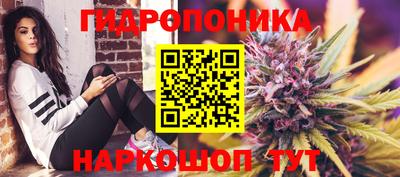 прущие грибы Ливны