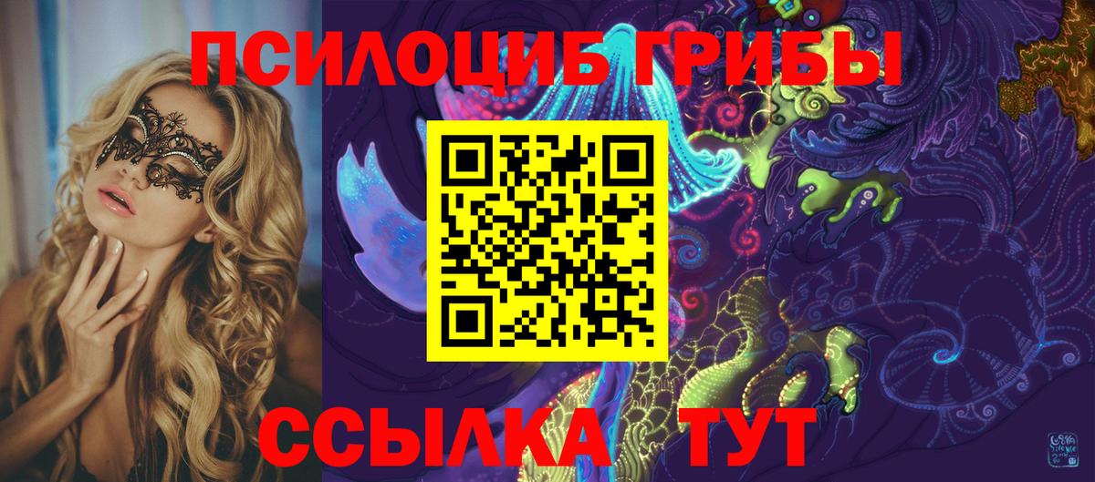 Елизово  Псилоцибиновые грибы прущие грибы  Вход с VPN 