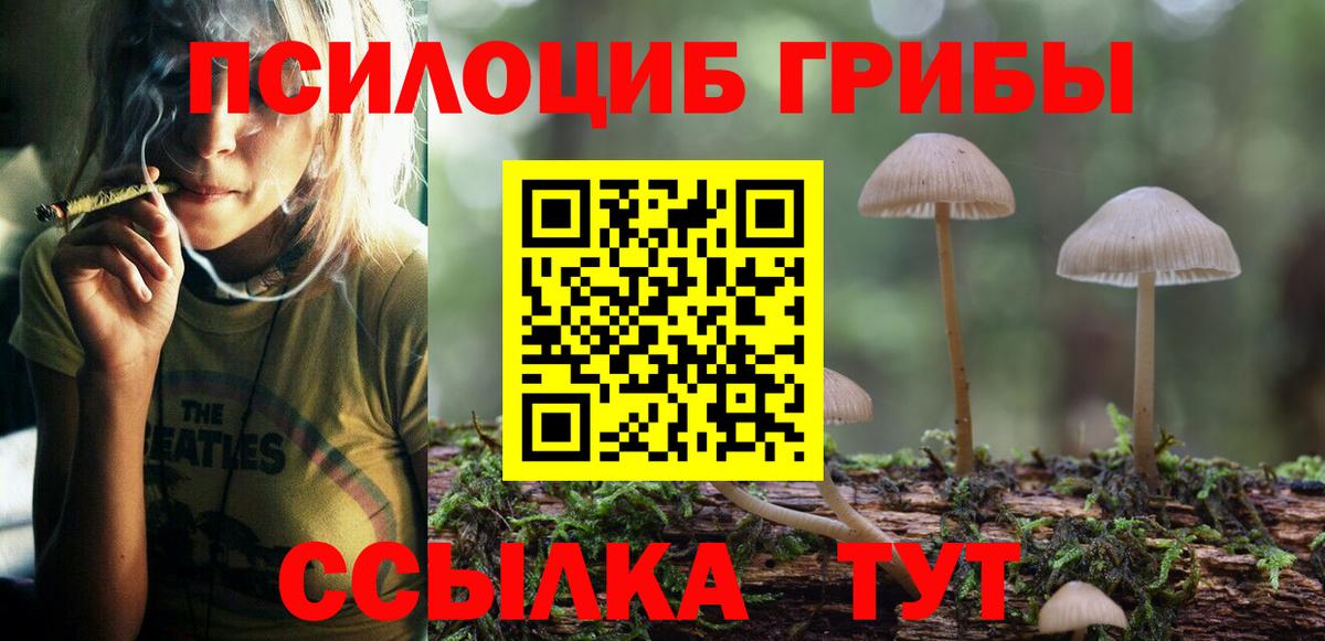 Галлюциногенные грибы GOLDEN TEACHER Елизово